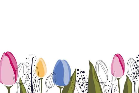 an illustrated row of tulips